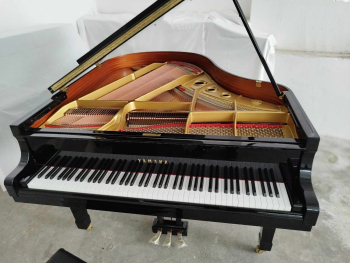 &Pi;&Iota;&Alpha;&Nu;&Omicron; &Mu;&Epsilon; &Omicron;&Upsilon;&Rho;&Alpha; YAMAHA G2R